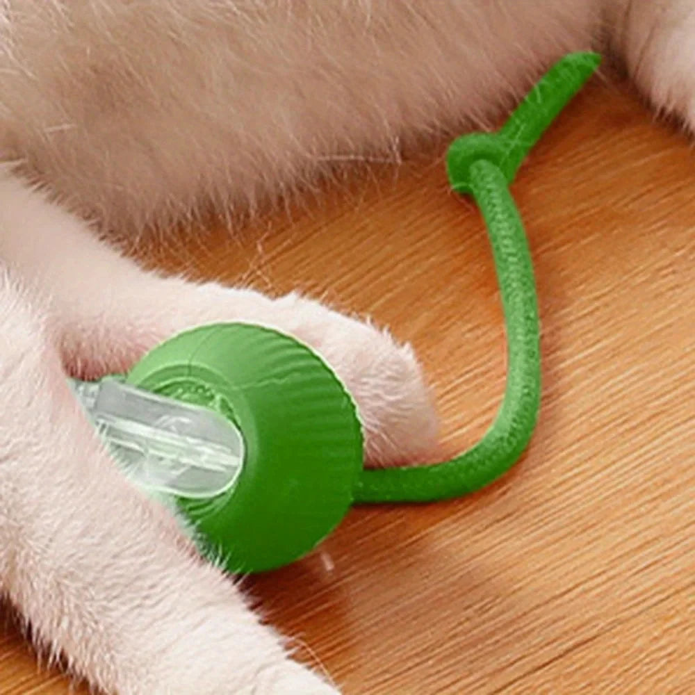 【In Stock】Self Moving Smart Cat Toy Ball 3 Speed Adjustable LED Interactive Play Ball with Durable Rope Tail for Indoor Cats