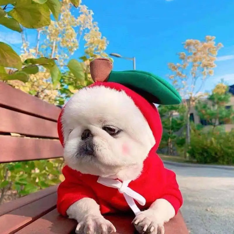 Cute Cartoon Fruit Frog Banana Carrot Pet Hoodie, Winter Warm Fleece Dog Clothes, Funny Cosplay Costume for Small Puppy Cat, Outfit for Chihuahua French Bulldog