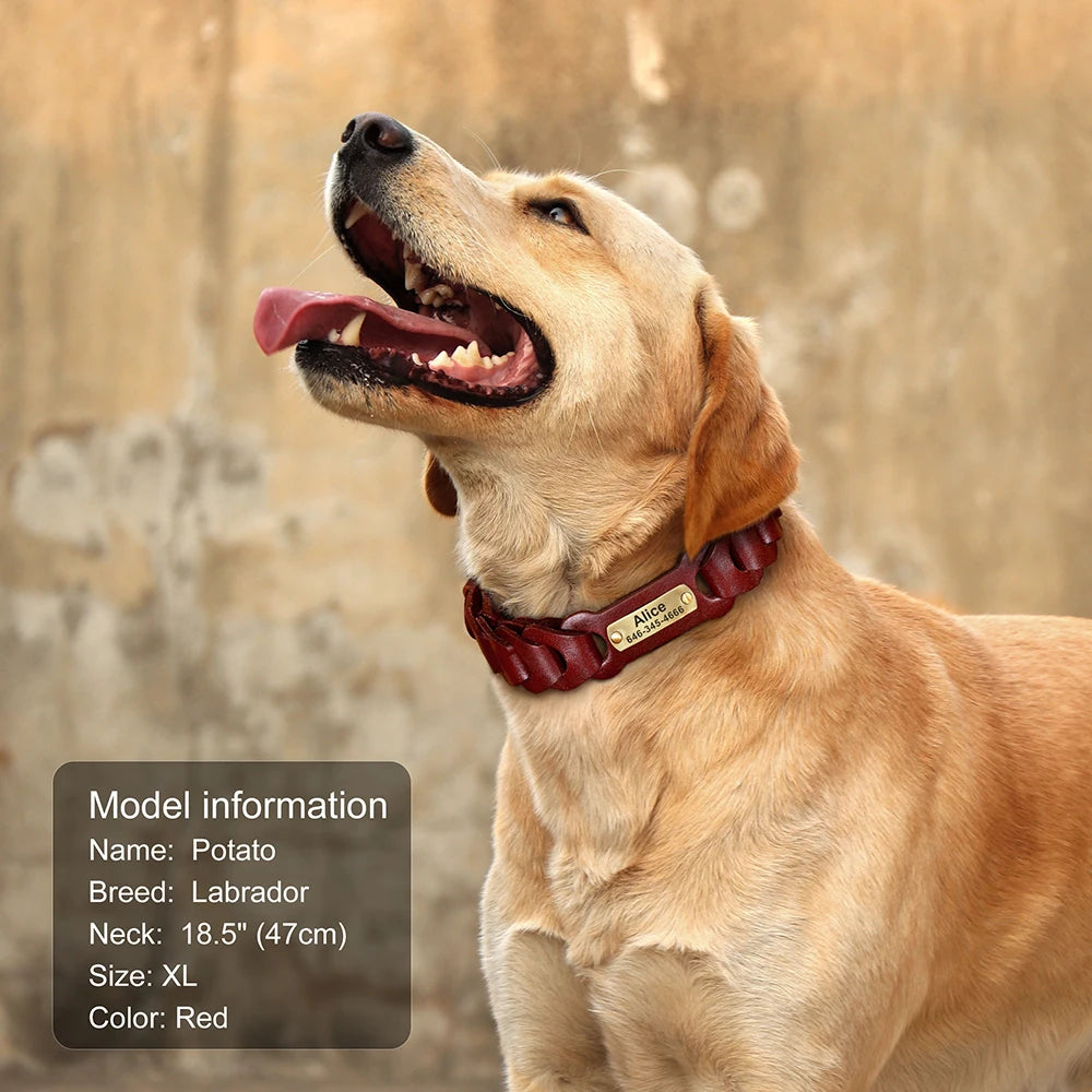 Genuine Leather Dog Collar Custom Leather Medium Large Dog Collars Personalized Pet ID Collars for Dogs Pitbull Engrave Name