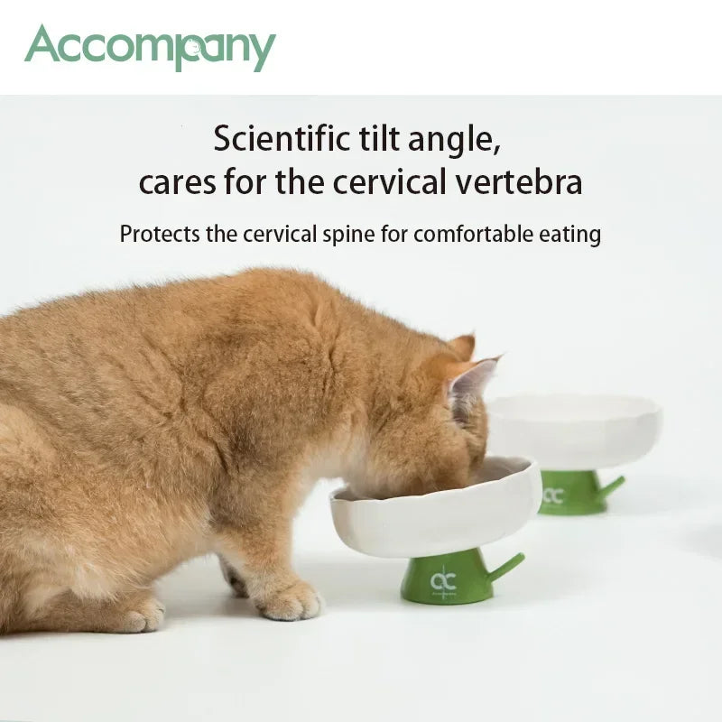 Tulip Shaped Elevated Ceramic Cat Bowl, Raised Pet Food Water Bowl for Cats, Anti-Vomiting Kitten Feeder