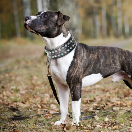 2inch Wide Luxury Genuine Leather Dog Collar Durable Metal Rivet Collars Cool Collars for Medium lagre Dogs German Shepherd