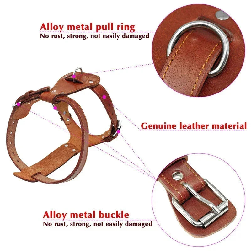 Genuine Leather Dog Cat Harness Brown Real Leather Dogs Walking Training Vest Adjustable Straps Durable Harnesses for Dogs