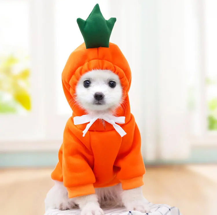 Cute Cartoon Fruit Frog Banana Carrot Pet Hoodie, Winter Warm Fleece Dog Clothes, Funny Cosplay Costume for Small Puppy Cat, Outfit for Chihuahua French Bulldog