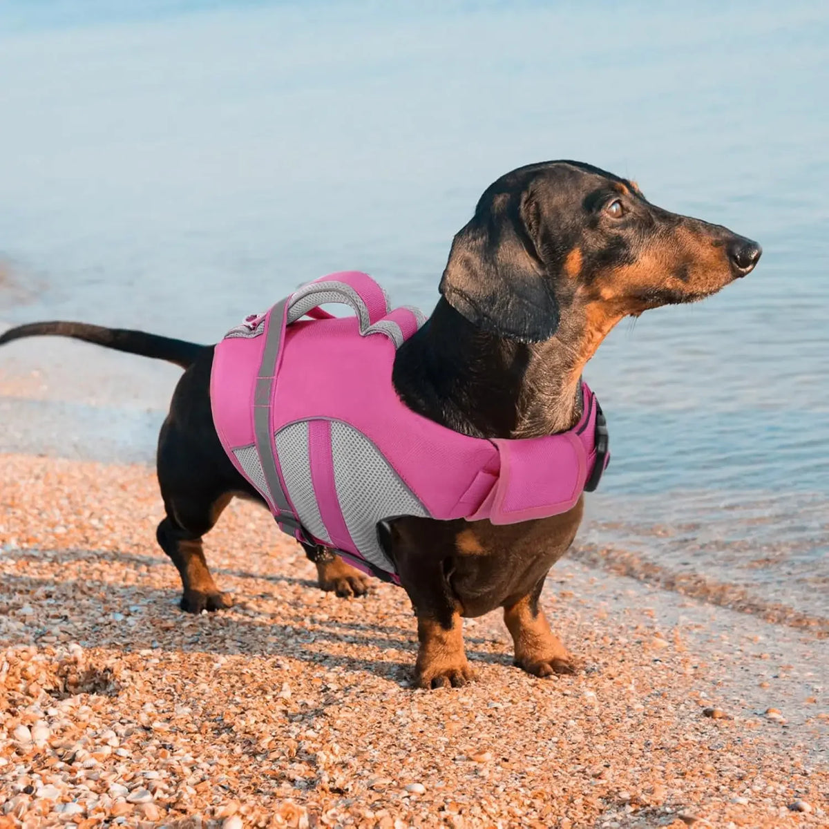 Durable Mesh Dog Life Jacket Tear-Resistant High Buoyancy Pet Vest with Ergonomics Rescue Handle Reflective--Rough water Boating