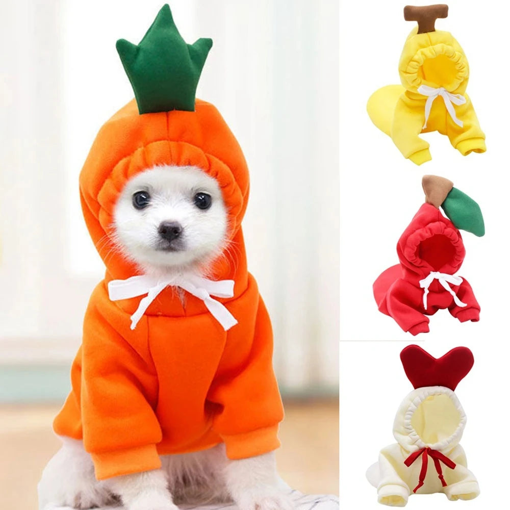 Cute Cartoon Fruit Frog Banana Carrot Pet Hoodie, Winter Warm Fleece Dog Clothes, Funny Cosplay Costume for Small Puppy Cat, Outfit for Chihuahua French Bulldog