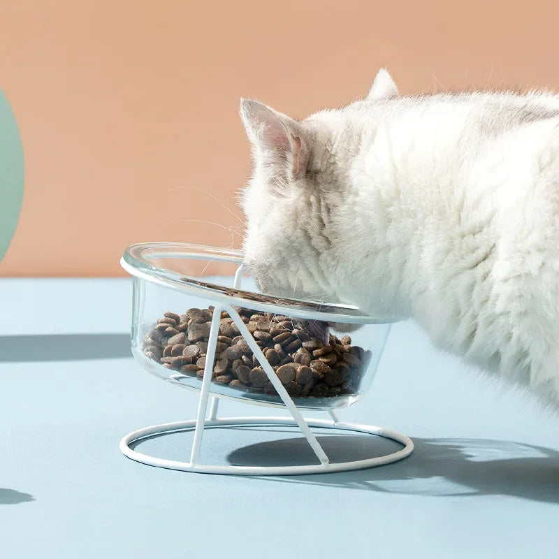 Cat Glass Food Water Bowl Elevated Small Dog Double Drinking Eating Bowls Pet Transparent Feeding Basin with Stand