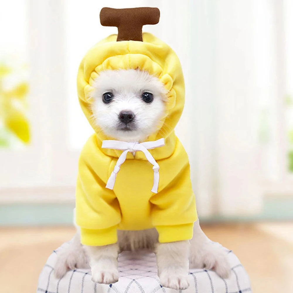 Cute Cartoon Fruit Frog Banana Carrot Pet Hoodie, Winter Warm Fleece Dog Clothes, Funny Cosplay Costume for Small Puppy Cat, Outfit for Chihuahua French Bulldog
