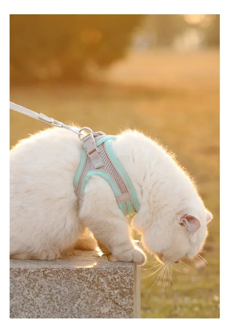 Cat Harness & Leash Set, Adjustable Escape-Proof Breathable Summer Mesh Vest, Outdoor Walking Kitten, Night Reflective