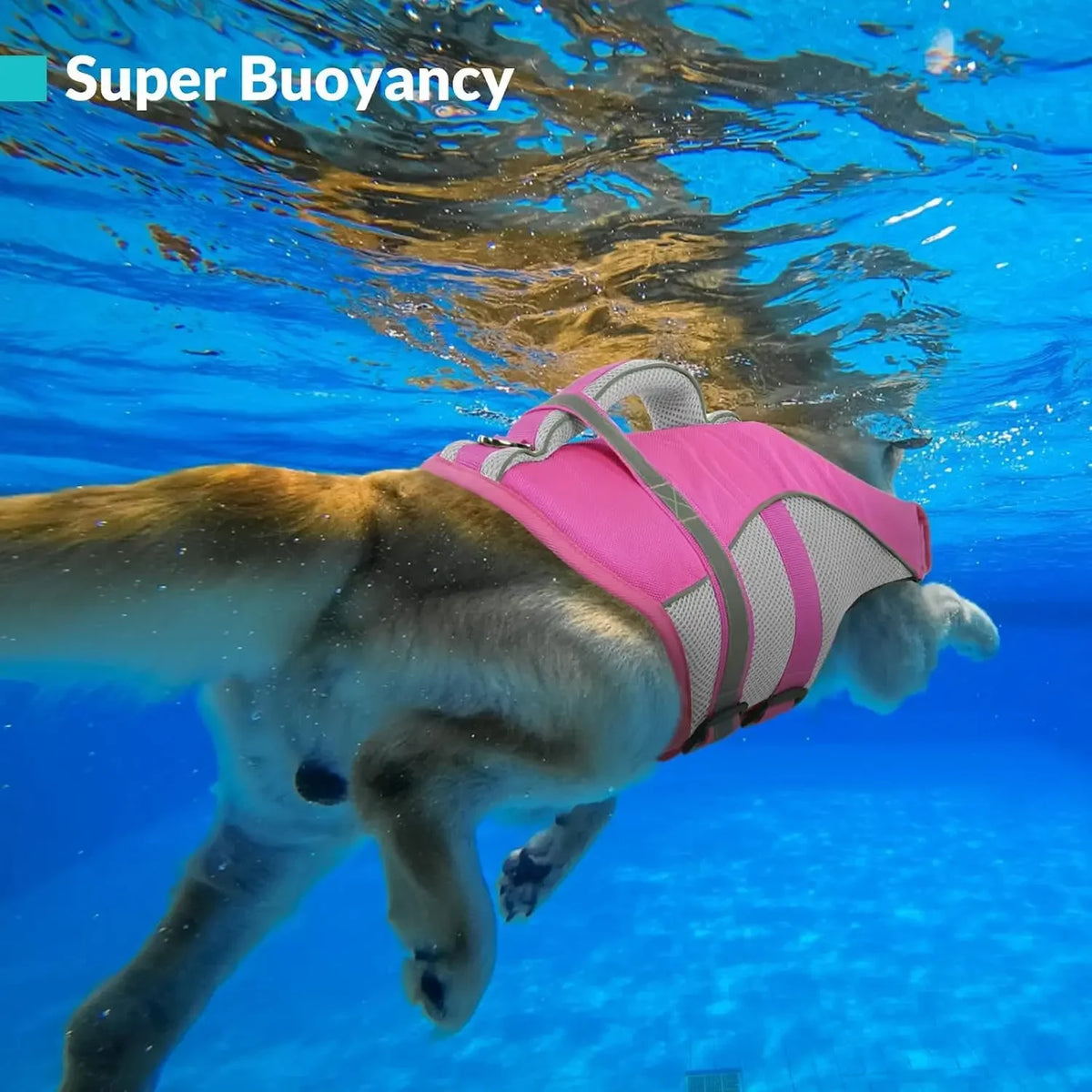 Durable Mesh Dog Life Jacket With Ergonomic Rescue Handle Tear‑Resistant Construction For Rough Water Use