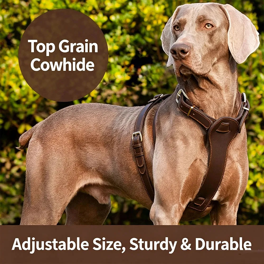Top Cowhide Leather Dog Harness Adjustable Heavy Duty Pet Walking Harness No Pull Handcrafted Sturdy Vest for Medium Large Dogs