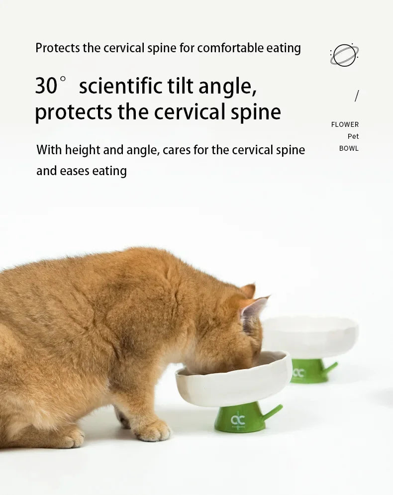 Daisy Elevated Ceramic Cat Bowl 2.0, Slanted Rim Raised Pet Dish, Glossy Glaze Food & Water Bowl for Indoor Cats