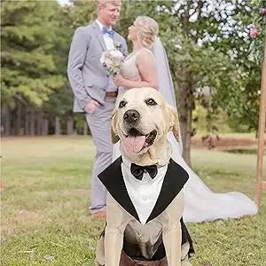 Dog costume large dog tuxedo with detachable,dog wedding costume suitable for large and medium dogs,golden retrievers, labradors
