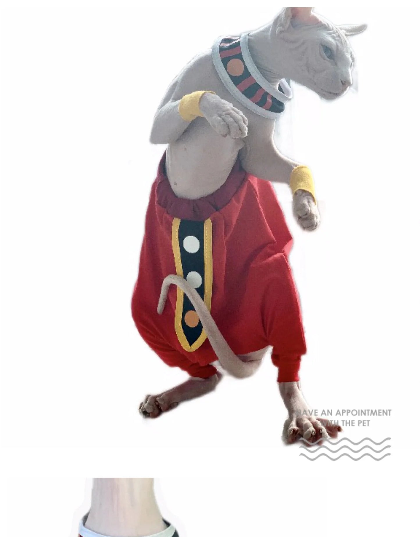 Handmade Sphinx Cosplay Costumes Hairless Cat Clothes God of Destruction Crotch-Proof Trousers Dropshipping Cat Clothes