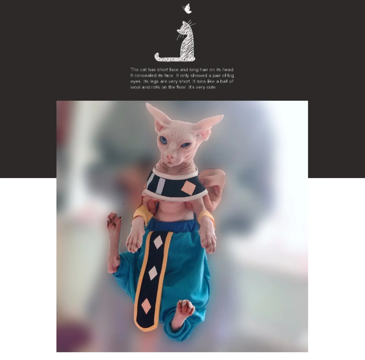 Handmade Sphinx Cosplay Costumes Hairless Cat Clothes God of Destruction Crotch-Proof Trousers Dropshipping Cat Clothes