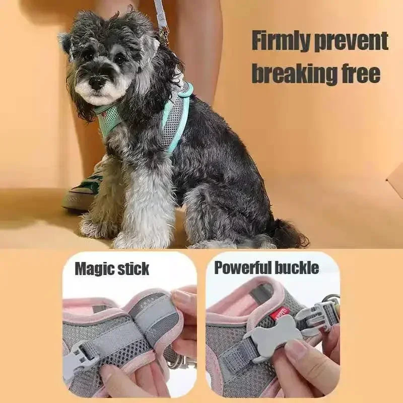 Cat Harness & Leash Set, Adjustable Escape-Proof Breathable Summer Mesh Vest, Outdoor Walking Kitten, Night Reflective