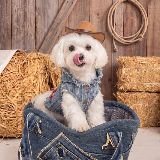 Pet Denim With Embroidered Pony Pattern Clothing