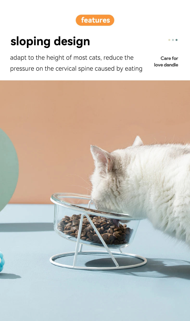 Cat Glass Food Water Bowl Elevated Small Dog Double Drinking Eating Bowls Pet Transparent Feeding Basin with Stand