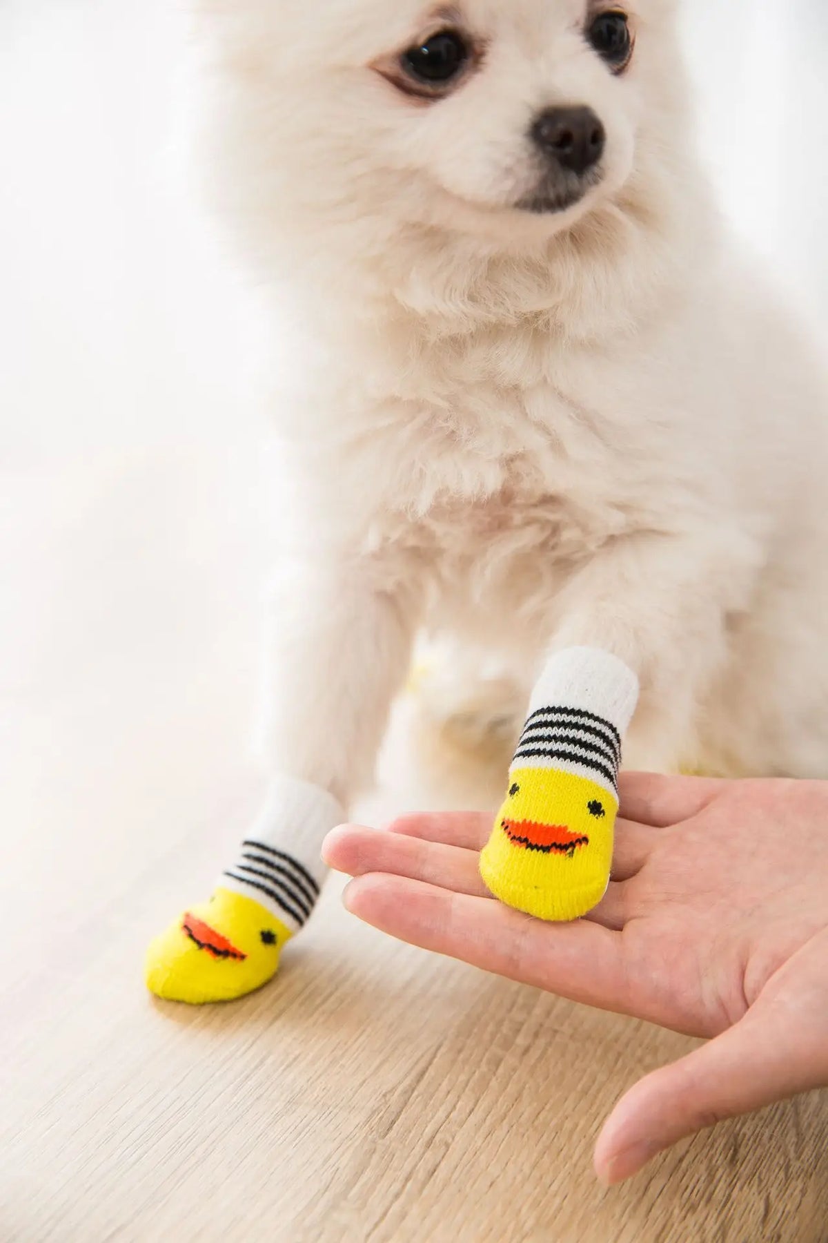 4pcs/set Dog Socks Cute Pattern Foot Covers Warm Anti Slip Shoes Puppy Paw Protector Christmas Gift for Puppy Cat Dogs