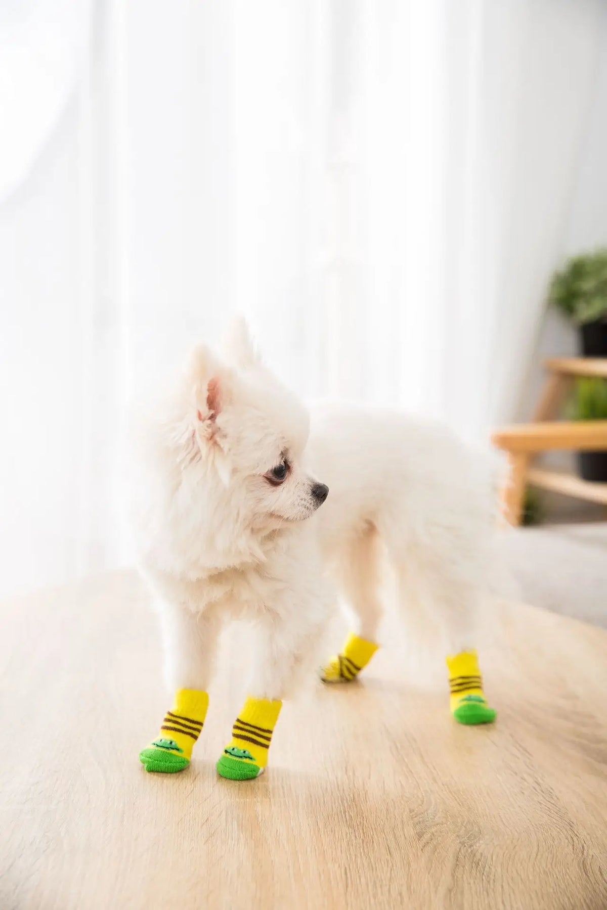 4pcs/set Dog Socks Cute Pattern Foot Covers Warm Anti Slip Shoes Puppy Paw Protector Christmas Gift for Puppy Cat Dogs