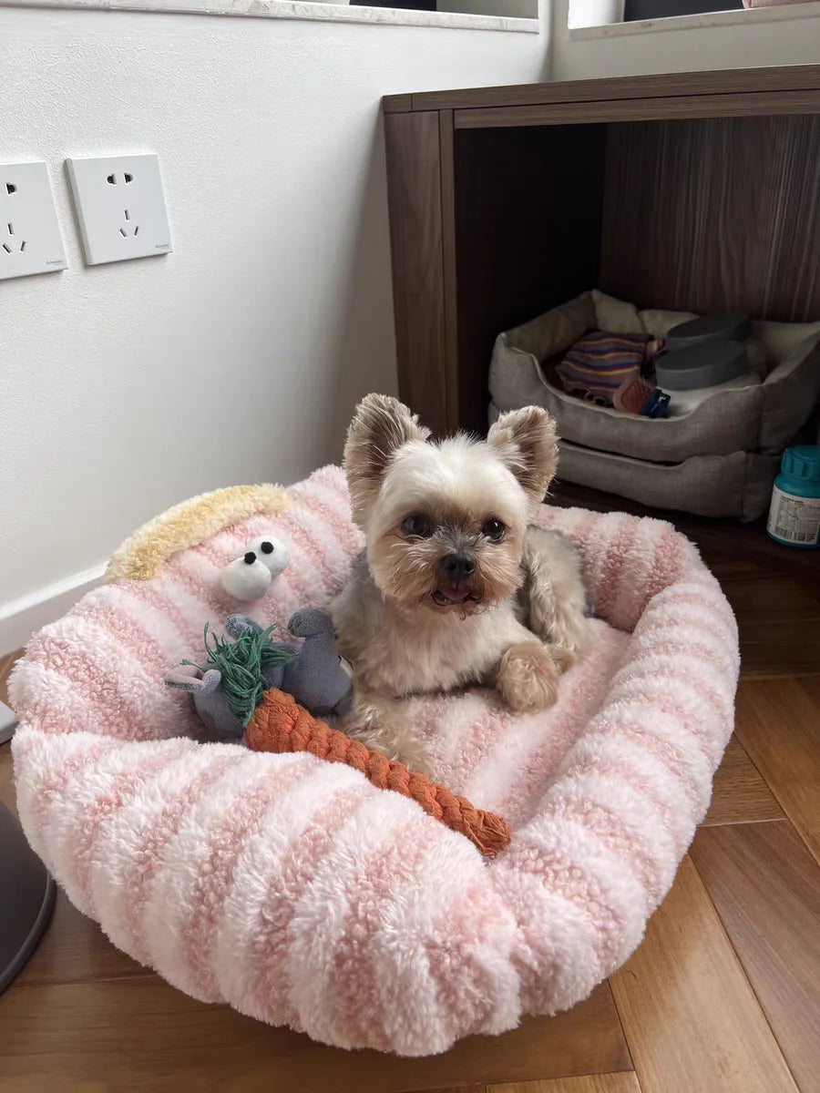 Puppy Special Sofa Kennel Winter Warm Pet Internet Celebrity Cat Nest Small Dog Sleeping Mat Cushion Winter Bed