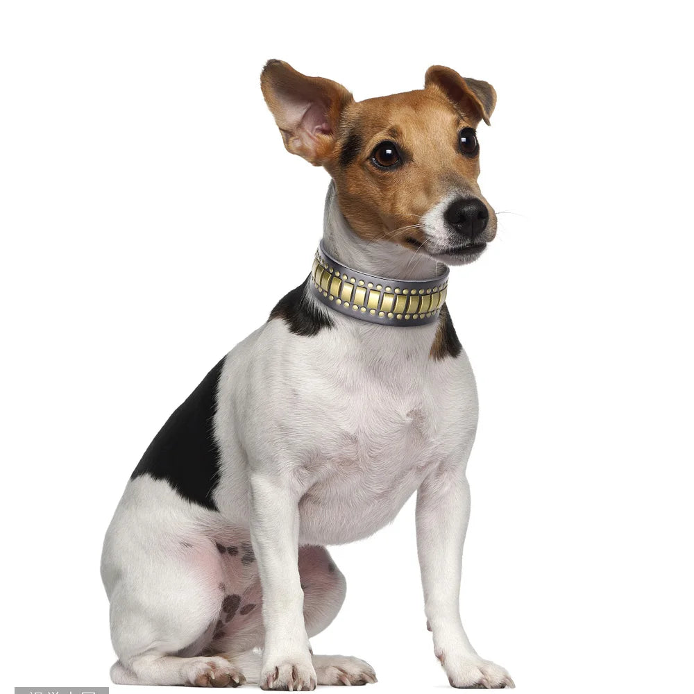 2inch Wide Luxury Genuine Leather Dog Collar Durable Metal Rivet Collars Cool Collars for Medium lagre Dogs German Shepherd