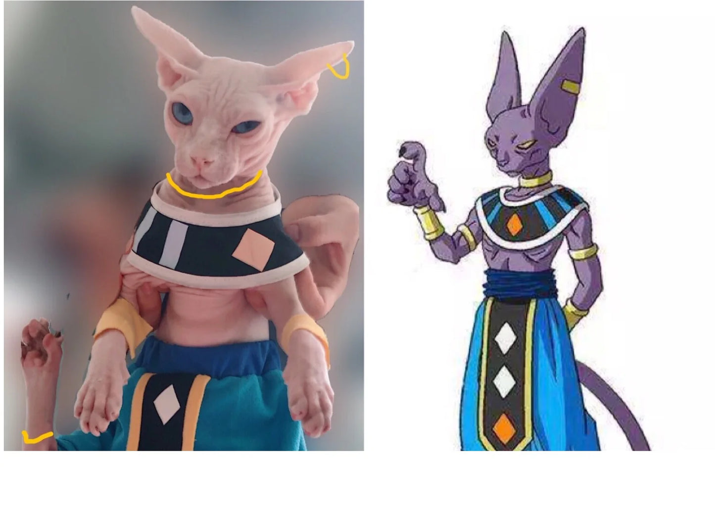 Handmade Sphinx Cosplay Costumes Hairless Cat Clothes God of Destruction Crotch-Proof Trousers Dropshipping Cat Clothes