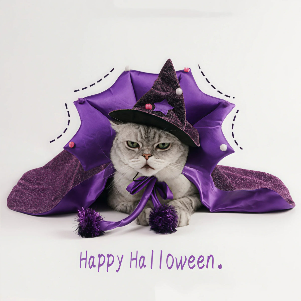 Halloween Cat & Dog Costume – Comfortable Witch Outfit with Cloak & Witch Hat, Pet Halloween Clothes for S/M Cats & Small Dogs