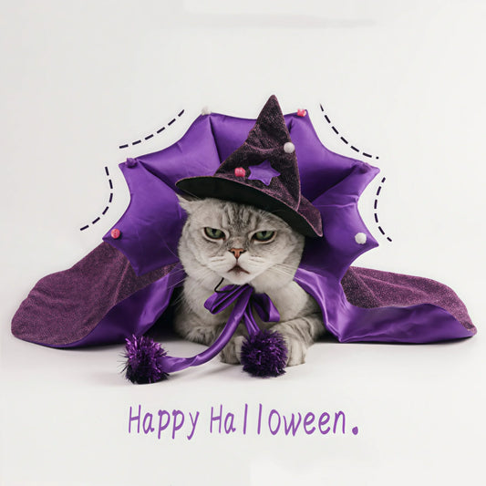 Halloween Cat & Dog Costume – Comfortable Witch Outfit with Cloak & Witch Hat, Pet Halloween Clothes for S/M Cats & Small Dogs