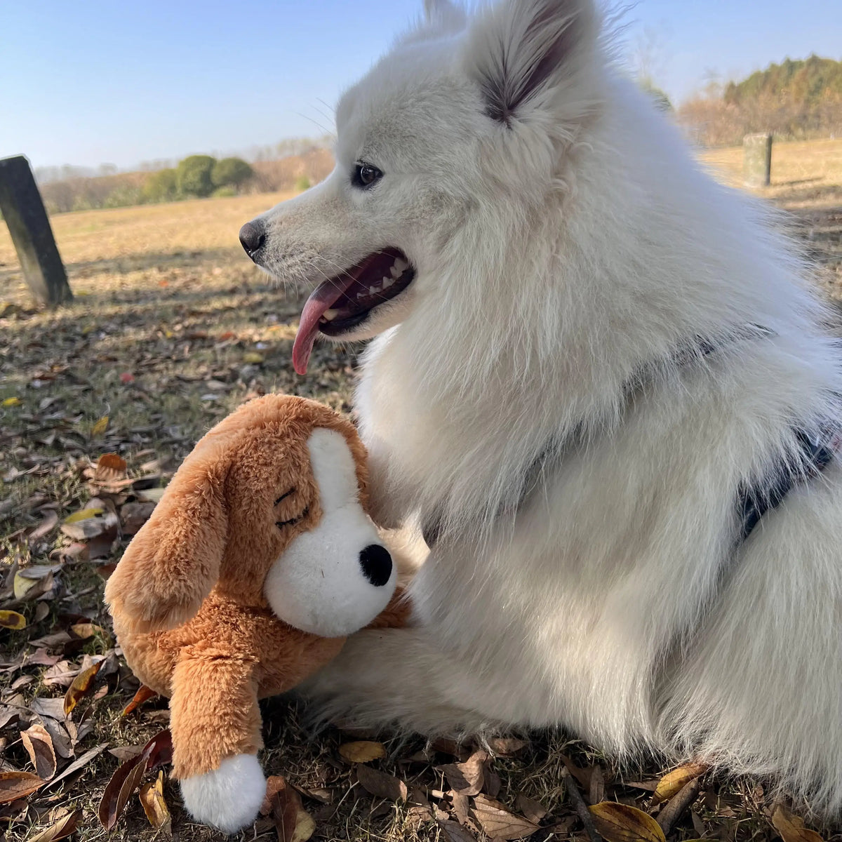 Curved Pillow Dog Heartbeat Toy for Comfort And Behavioral Training Heartbeat Stuffed Toy for Dogs And Cats