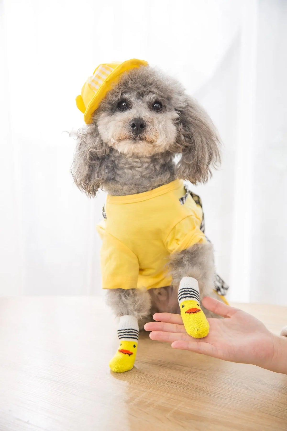 4pcs/set Dog Socks Cute Pattern Foot Covers Warm Anti Slip Shoes Puppy Paw Protector Christmas Gift for Puppy Cat Dogs