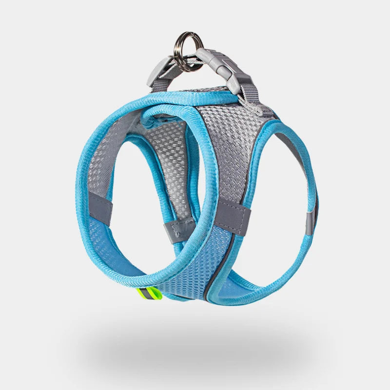 Cat Harness & Leash Set, Adjustable Escape-Proof Breathable Summer Mesh Vest, Outdoor Walking Kitten, Night Reflective