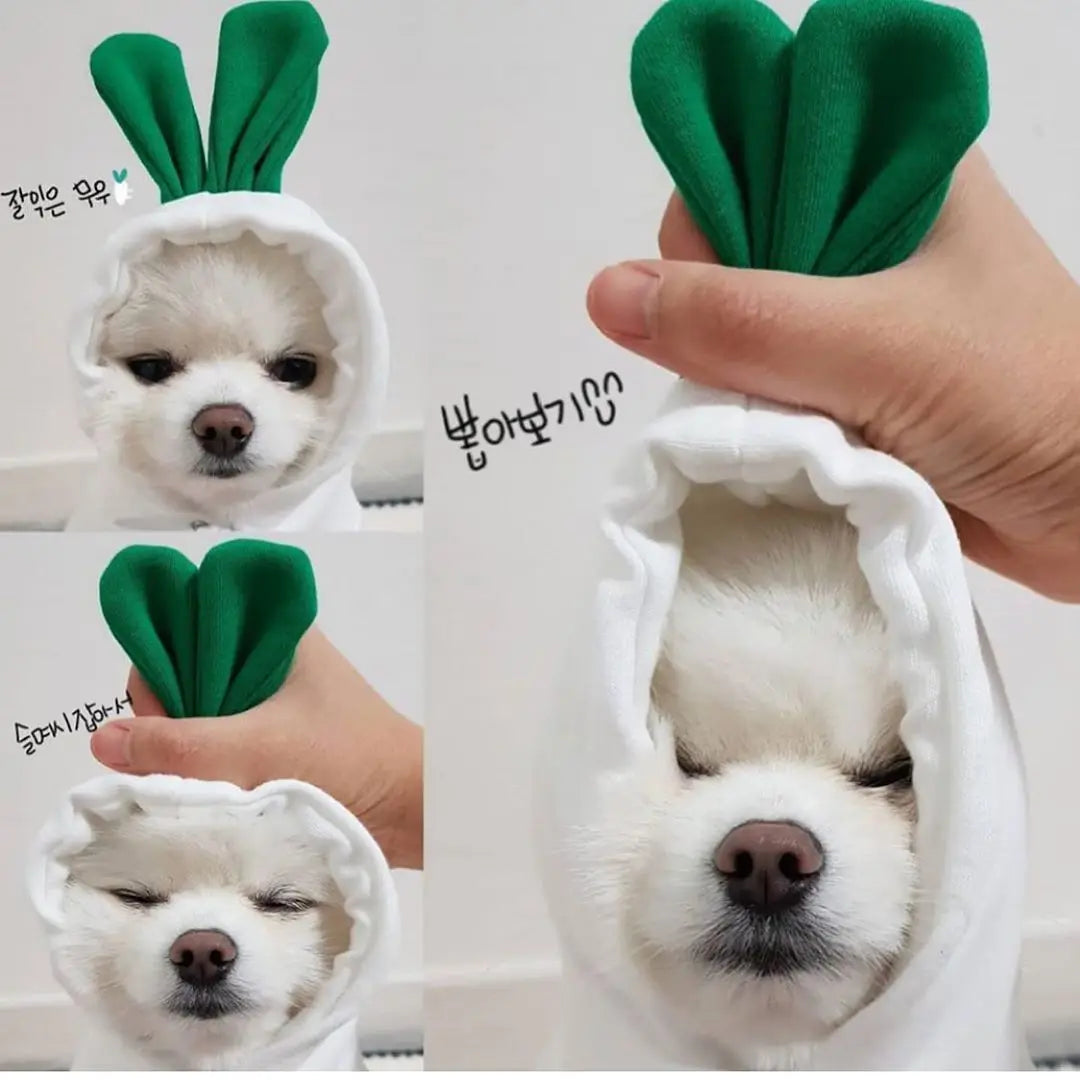 Cute Cartoon Fruit Frog Banana Carrot Pet Hoodie, Winter Warm Fleece Dog Clothes, Funny Cosplay Costume for Small Puppy Cat, Outfit for Chihuahua French Bulldog